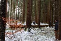 Lindenburschen Neubiberg - Maibaum fällen 30.12.2017 - IMG_3378